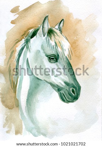 Horse head waercolor painting. Hand drawn illustration.