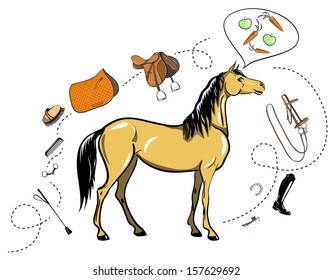 Horse and horseback riding tack