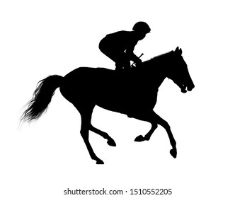 197 Horse on white background galop Images, Stock Photos & Vectors ...