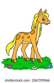 Horse Little Pony Grass Meadow Illustration Character