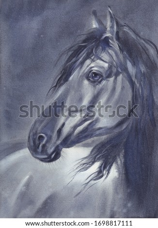 A horse portrait at night watercolor painting. Vintage illustration