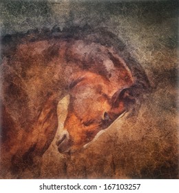 Horse Portrait In Old Oil Painting Style