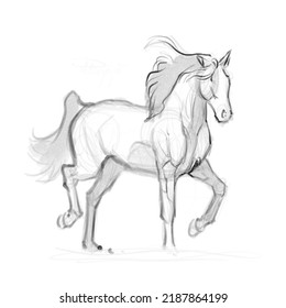 Horse Pose Poses Sketch Drawing Simply Stock Illustration 2187864199 ...