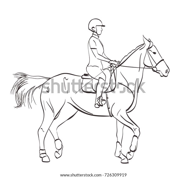 Horse Riding Illustration Line Art Drawing Stock Illustration 726309919