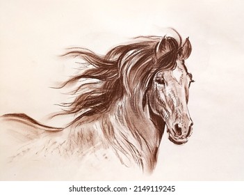 Horse Running Drawing Sepia Artwork 