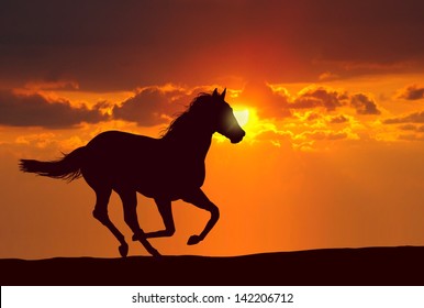 Horse Running Under Sunset