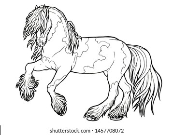 73 Tinker horse Stock Illustrations, Images & Vectors | Shutterstock