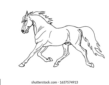 147 Welsh pony Stock Illustrations, Images & Vectors | Shutterstock