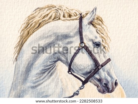 Horse. White horse portrait. Farm animals. Watercolor painting. Acrylic drawing art. A piece of art. 
