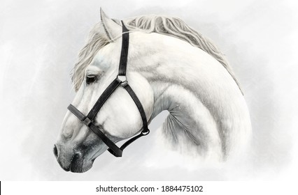 Horses Digital Painting and Illustration