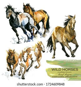 horses hand drawn watercolor illustration set	