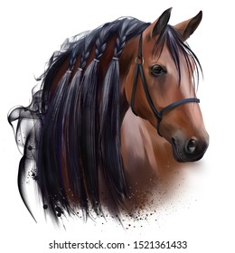 The horse's head. Watercolor drawing