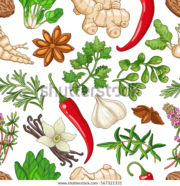 Hot Seamless Pattern Spices Herbs Decorative Stock Illustration 567321331