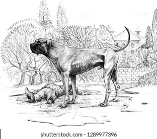 The Hound Of The Baskervilles. Big Dog Drawing. 