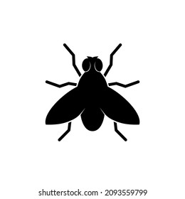 House Fly Icon Isolated On White Bachround