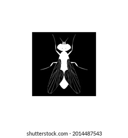 House Fly Icon Logo Symbol Illustration Silhouette Black And White