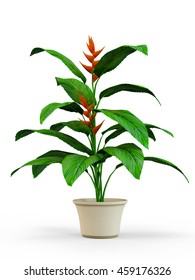 House Plant In A Flower Pot Isolated On White Background. 3D Rendering, Illustration.