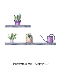 House Plants On The Shelf Watercolor Illustration Isolated. Home Plants Hand Drawn For Postcard Design, Interior Design, Shops And Your Trendy Design.