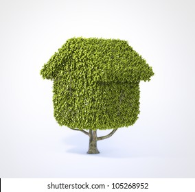 House Shaped Tree Isolated On White Background