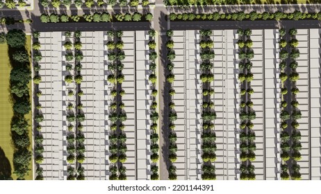 Housing District Around Main Blvd Golf Course, Sustainable Housing, Nature, 3d Illustration, Master Plan, United States, 2021