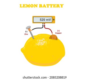 How To Make A Simple Lemon Battery For Educational Purposes Using Copper And Zinc. How Much Electricity Does A Lemon Battery Produce