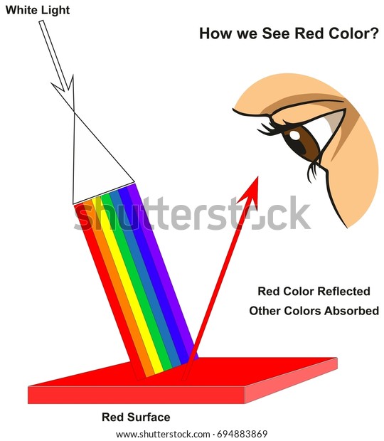 How We See Red Color Infographic Diagram Showing Visible Spectrum Light ...