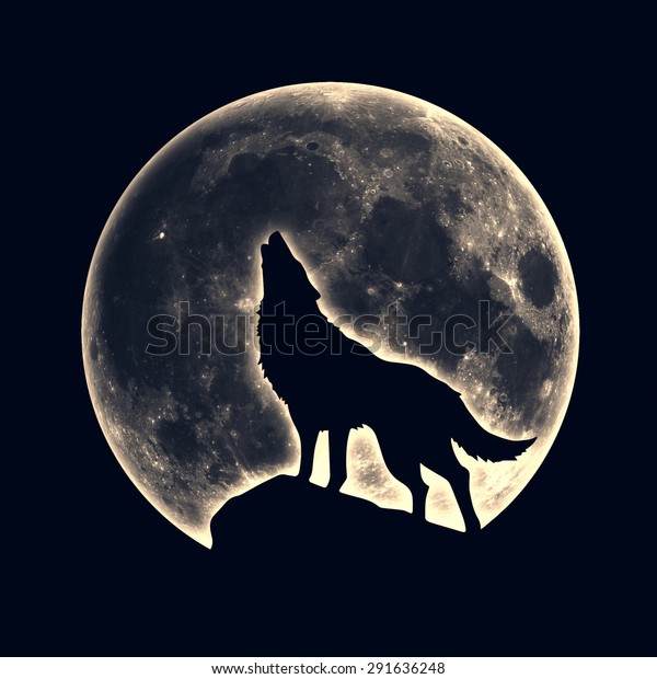 Howling Wolf Full Moon Stock Illustration 291636248
