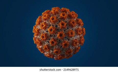 HPV human papilloma virus infection. 3d rendering medical illustration, with accurate structure. A commonly transmitted papillomavirus, causing cervical cancer. - Powered by Shutterstock