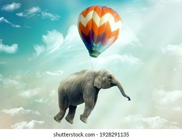 Huge Elephant floating or flying with air balloon with sky and clouds background. Fantastic surreal fantasy phantasmagoric illustration. Freedom concept. Imagination. Surrealism. Dream