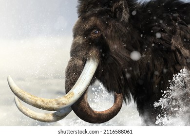 A huge mammoth with a big tusk walks to the destination in the state of the subzero snowstorm. 3D illustration 3D rendering
