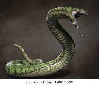 A huge predatory snake. 3d illustrations