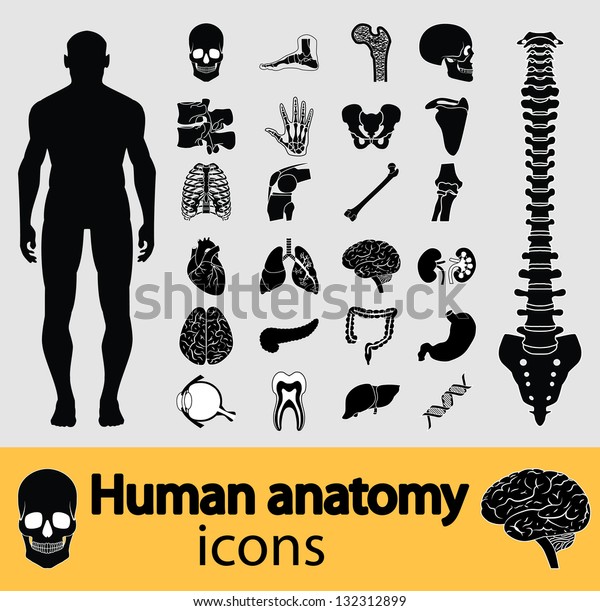 Human Anatomy Black White Icon Set Stock Illustration 132312899
