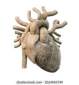 Human Anatomy, Fossil Heart Human Isolated On White Background. Old Stone Heart. 3d Render.