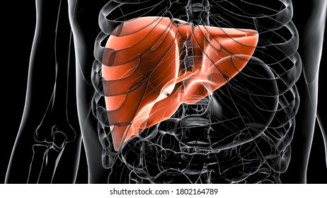 Stock Photo and Image Portfolio by Shot4Sell | Shutterstock