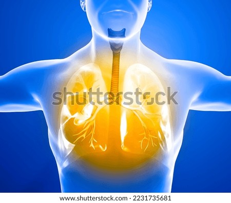 Human anatomy, problems with the respiratory system, severely damaged lungs. Bilateral pneumonia. Covid-19, coronavirus. Patient and smoke. Smoker. 3d rendering
