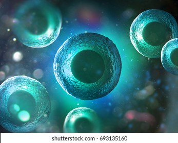 Human (animal) cell under microscope (3D illustration)