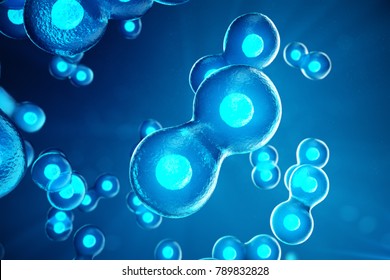 Human Or Animal Cells On Blue Background. Concept Early Stage Embryo Medicine Scientific Concept, Stem Cell Research And Treatment. 3D Illustration.