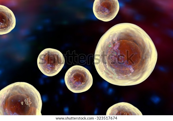 Human or animal cells on colorful\
background, 3D\
illustration