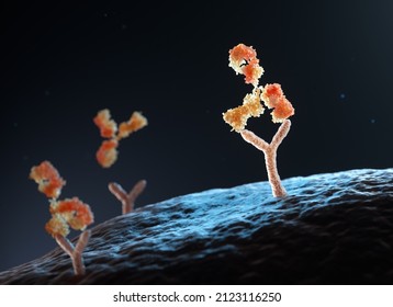 Human Antibody Binding To Human Cell Receptors. 3D Illustration