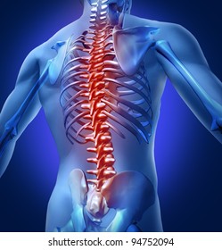 Human backache and back pain with an upper torso body skeleton showing the spine and vertebral column in red highlight as a medical health care concept for spinal surgery and therapy.