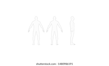 Human body 3d rendering of multiple views of a human body isolated in white background