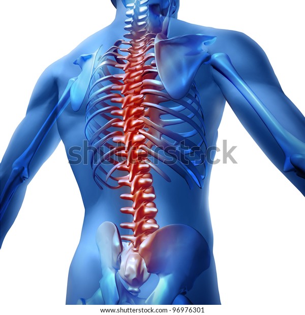 人体の背中の痛みと背中の痛み 背中の上胴体の骨格を背骨とし 赤い背中に脊柱を持つ 脊髄手術と白い背景の治療の医療コンセプト のイラスト素材
