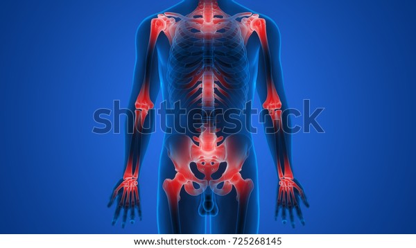 人体骨关节疼痛解剖学3d 库存插图