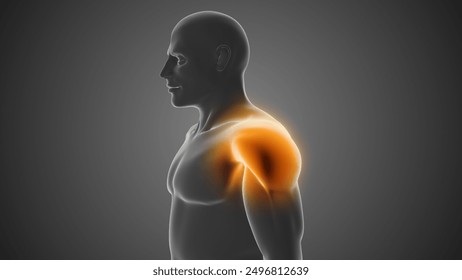 The human body experiences shoulder joint pain 3d illustration - Powered by Shutterstock