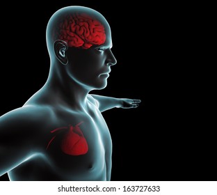 Human Body With Heart And Brain X-ray