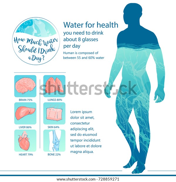 人体と内臓のバランスは水です 健康的なライフスタイルのコンセプト 飲料水情報の図 手描きのイラスト のイラスト素材