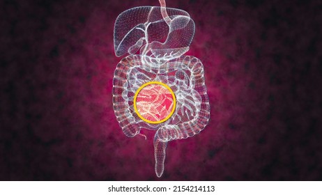 Human body, man, digestive system, anatomy. Intestine. Enlargement on the abdominal sector. Abdominal pain. Hologram. 3d rendering