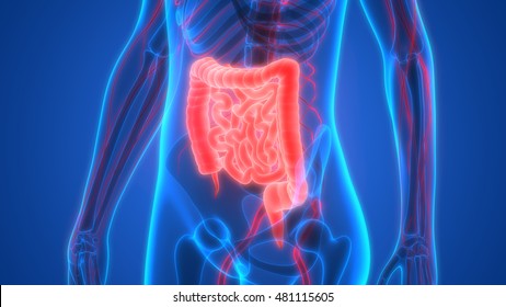 6,206 Colon abstract Images, Stock Photos & Vectors | Shutterstock
