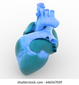 Human Body Organs Heart Anatomy 3d Stock Illustration 646567039 ...