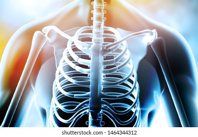 Human body with rib skeleton on medical background. 3d illustration	
